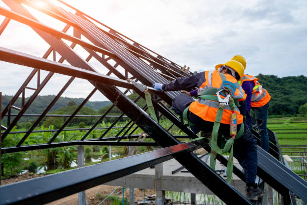 Best Shingle Roofing Installation  in Hamtramck, MI