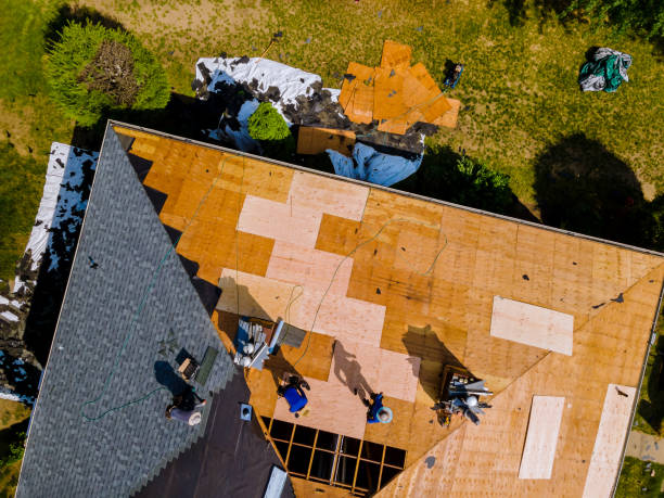 Best Tile Roofing Contractor  in Hamtramck, MI