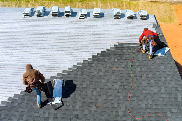 Best Roof Gutter Cleaning  in Hamtramck, MI