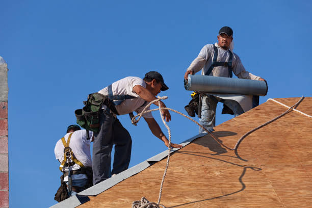 Best Metal Roofing Contractor  in Hamtramck, MI