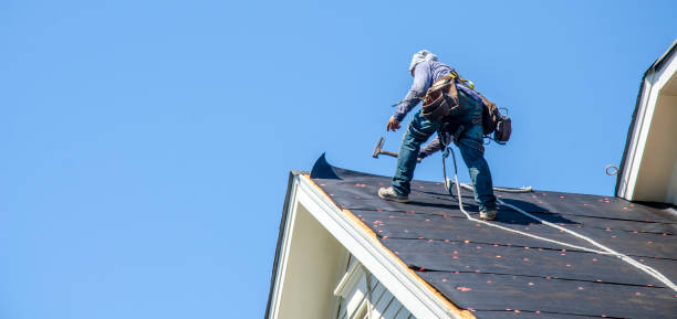 Best Roof Repair Specialists  in Hamtramck, MI